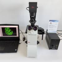 二手手动徕卡/Leica DMI8 倒置荧光显微镜成色新带质保