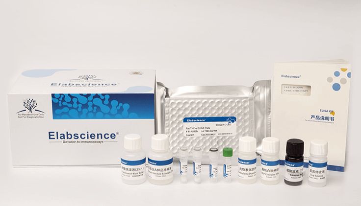 Elabscience盛夏狂欢，ELISA试剂盒和代谢检测试剂盒促销钜惠