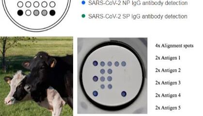 高精度微孔板点样技术：在96/384/1536孔板内喷点微阵列生物芯片
