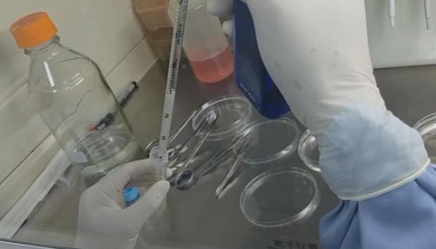 想学分细胞吗？其实很简单，照着做就可以