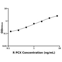 大鼠足细胞标志蛋白(PCX)ELISA试剂盒