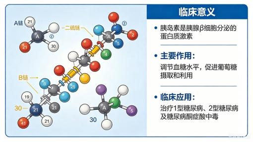 新闻图片1