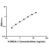 人乳腺癌易感蛋白1(BRCA-1)ELISA试剂盒