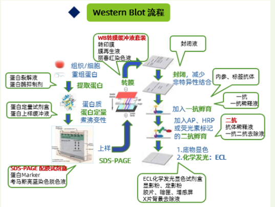 新闻图片2