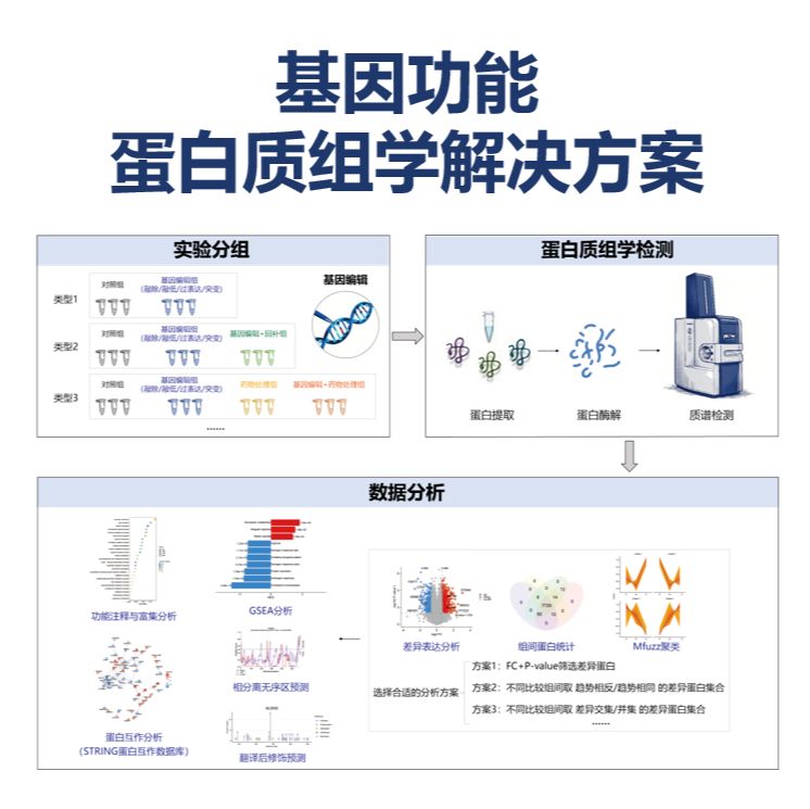 基因功能蛋白质组学解决方案——专为基因编辑样本开发的蛋白质组学
