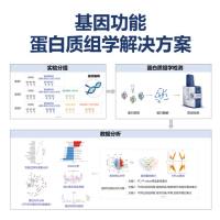 基因功能蛋白质组学解决方案——专为基因编辑样本开发的蛋白质组学