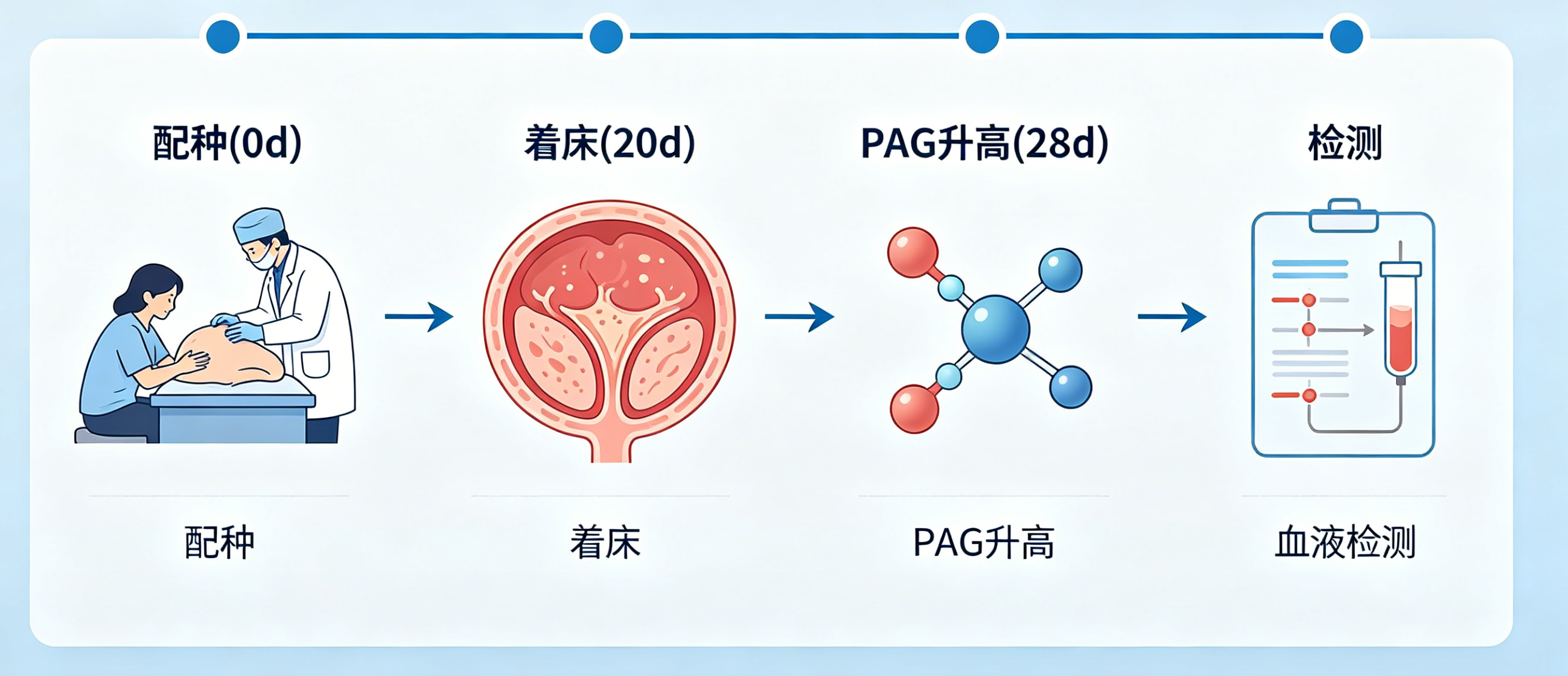 新闻图片2