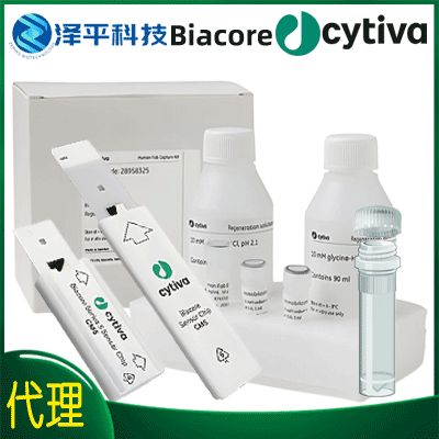 思拓凡原GE Biacore S系列Biacore cap-tag 捕获试剂盒 Biacore cap-tag capture kit series s 货号:29873737
