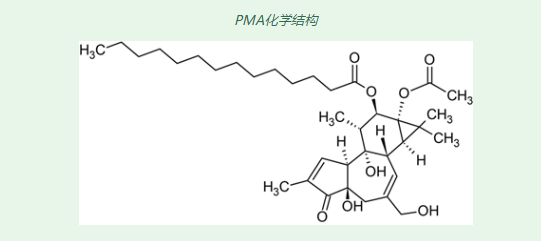 为什么佛波酯能成为细胞信号转导研究中的经典工具化合物？为什么佛波酯能成为细胞信号转导研究中的经典工具化合物？