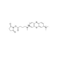 Methylene Blue Succinimidyl Ester,≥90%,Methylene Blue derivative,阿拉丁