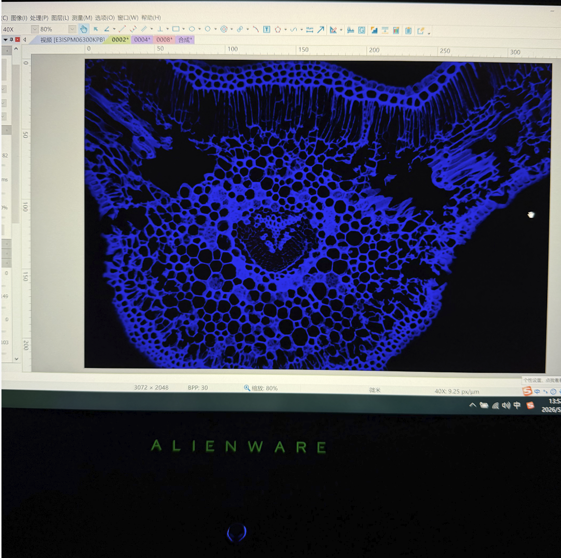 微信图片_2026-06-01_094219_565.png