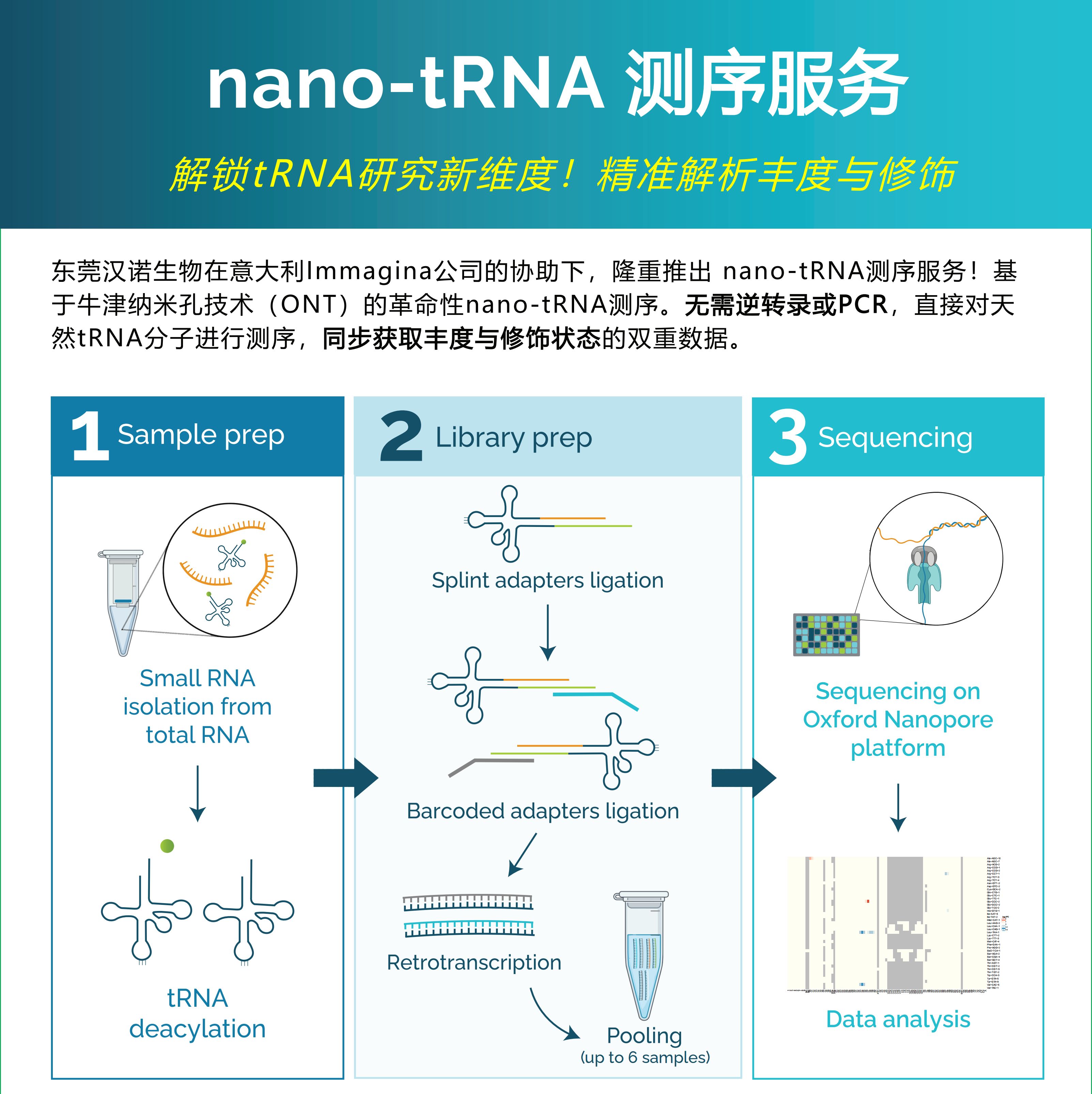 nano-tRNA测序服务