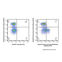Recombinant EpCAM/CD326 Antibody (FITC),重组,ExactAb™,已验证,0.5 mg/mL,阿拉丁