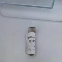片段筛选/PCR产物纯化磁珠