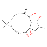 千金子二萜醇,34420-19-4,10mM in DMSO,阿拉丁