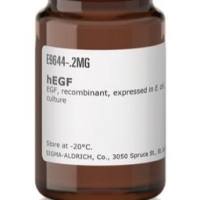 Sigma-Aldrich货号E9644重组人表皮细胞生长因子(human Epidermal Growth Factor)(别名:EGF)上海睿安生物191-2187-8899默克Merck-Sigma-Roche-Millipore官方正式授权代理商