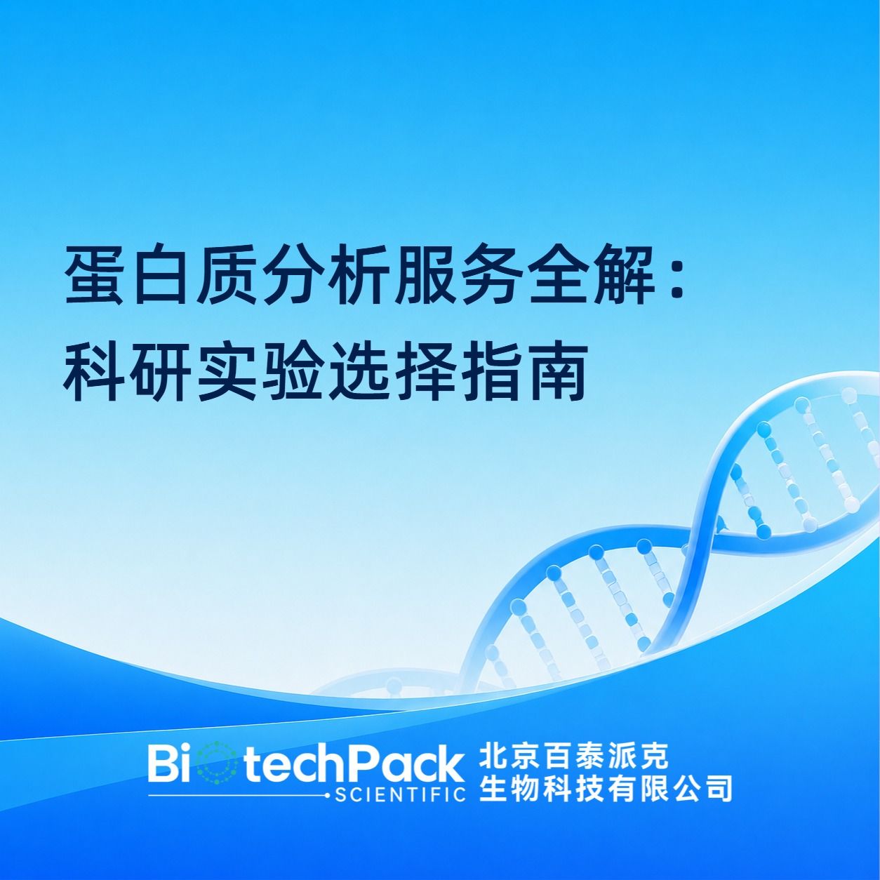 蛋白质分析服务全解:科研实验选择指南产品图
