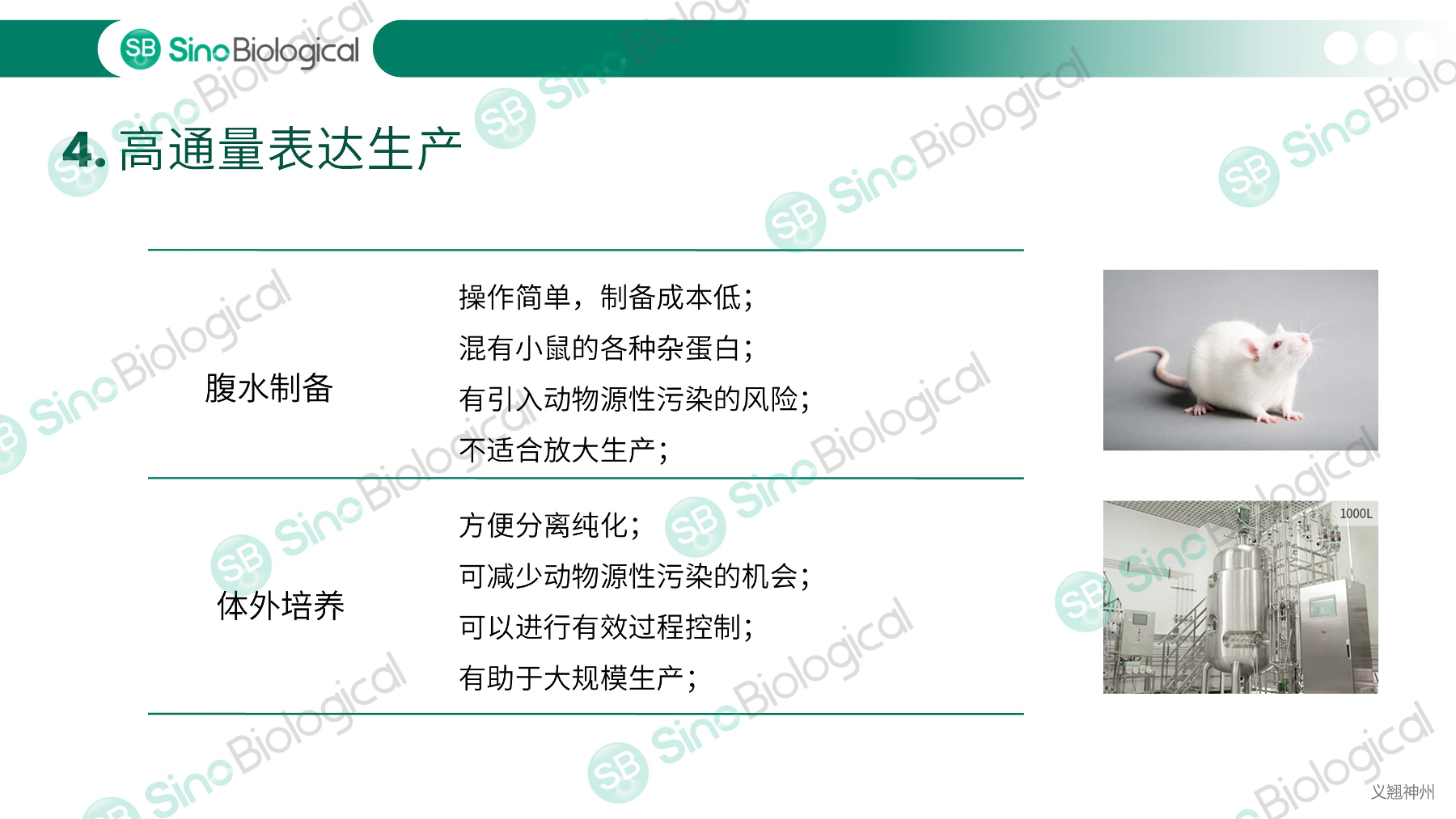 ppt