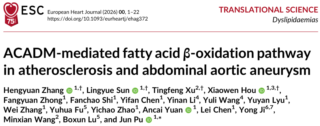 Eur.Heart J.(IF=35.7)|揭秘动脉粥样硬化与腹主动脉瘤代谢差异：ACADM介导的脂肪酸β-氧化通路成为二者分化关键