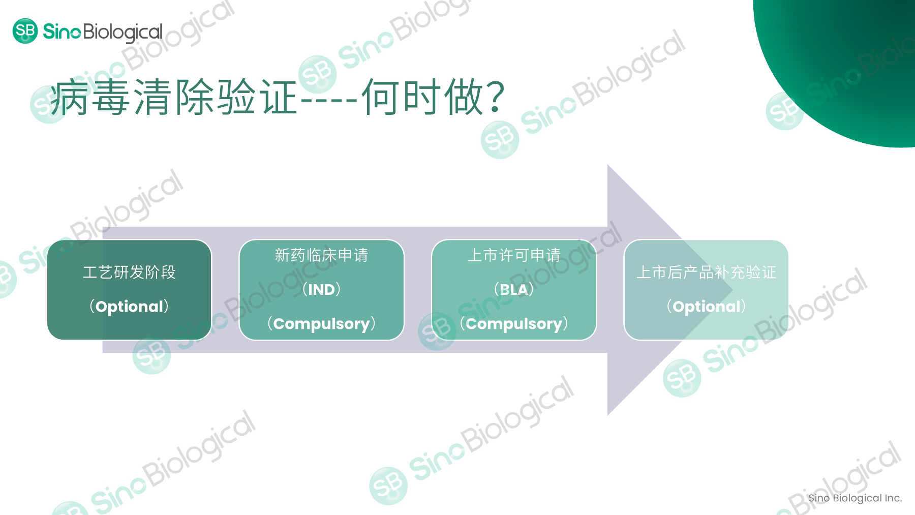 ppt