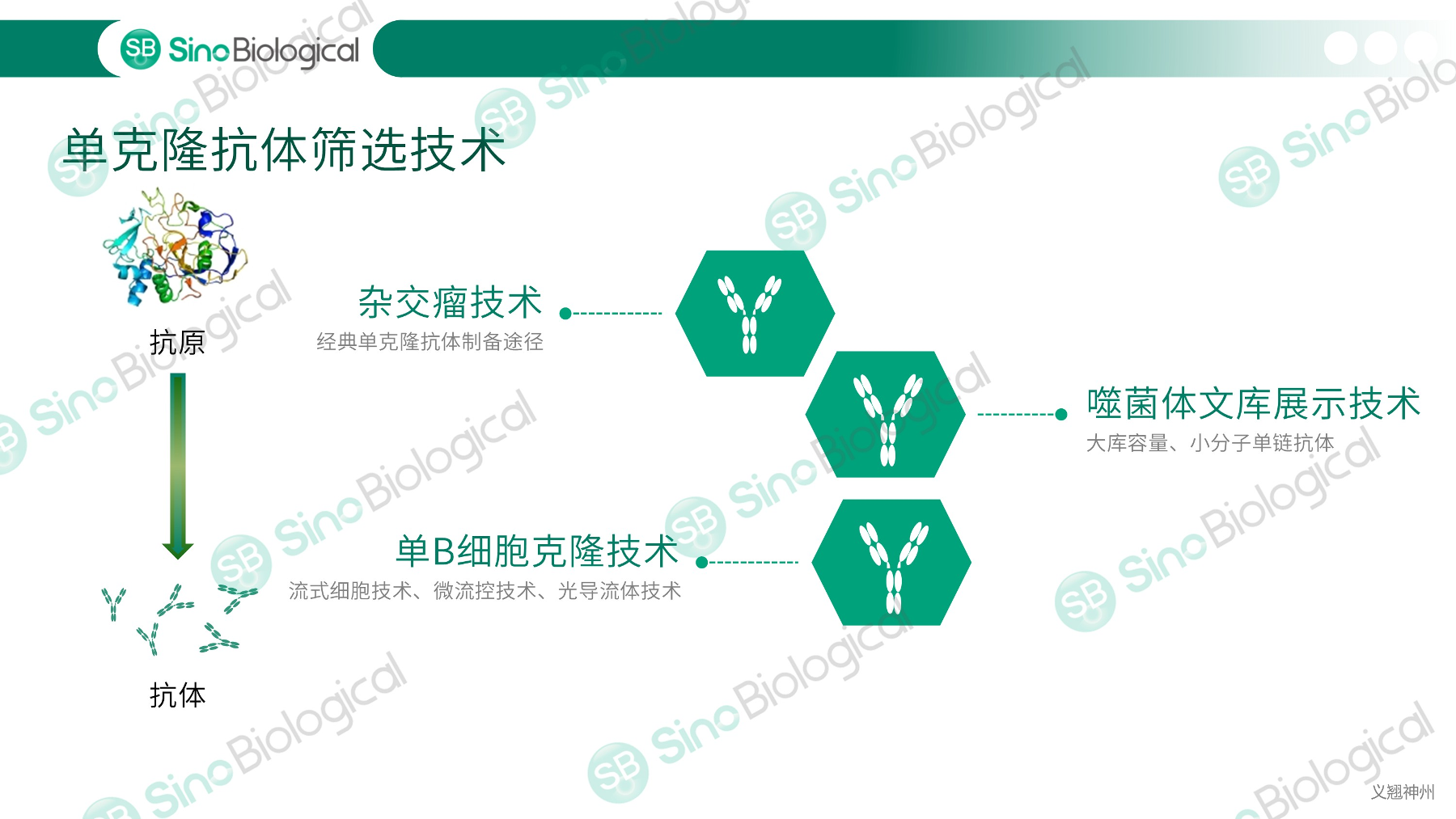ppt