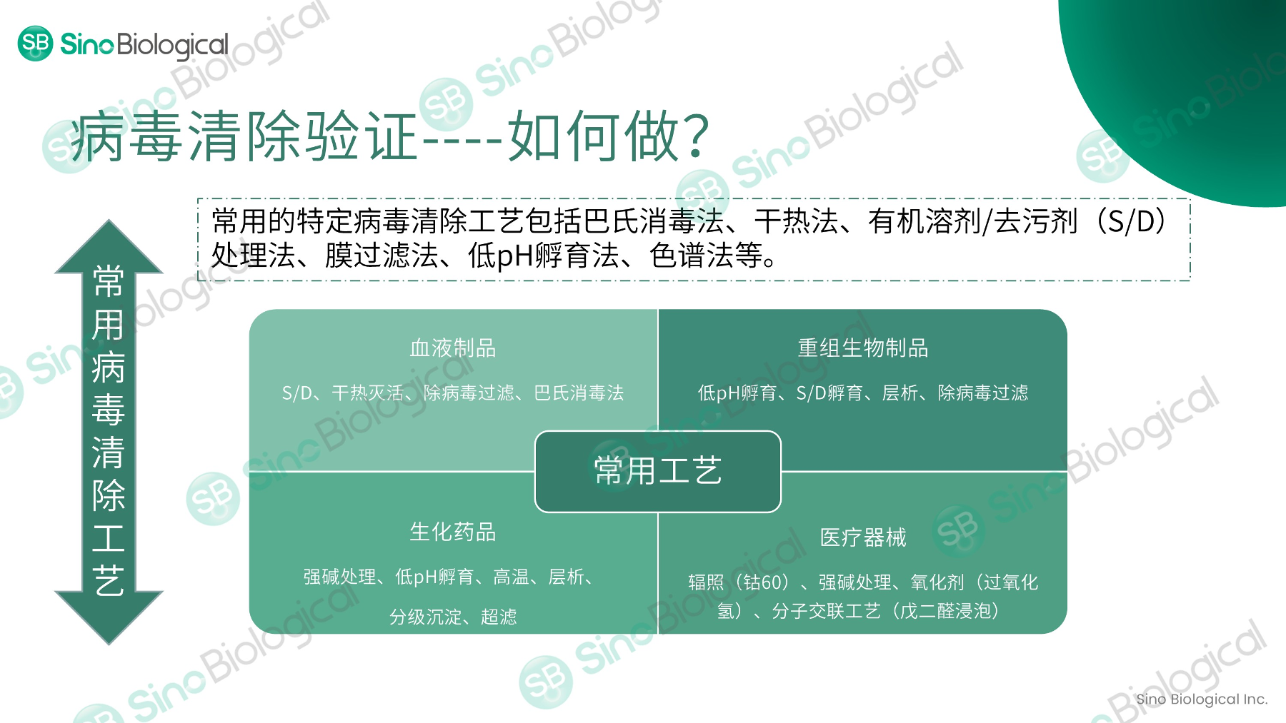 ppt