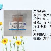 羊抗人IgG免疫血清