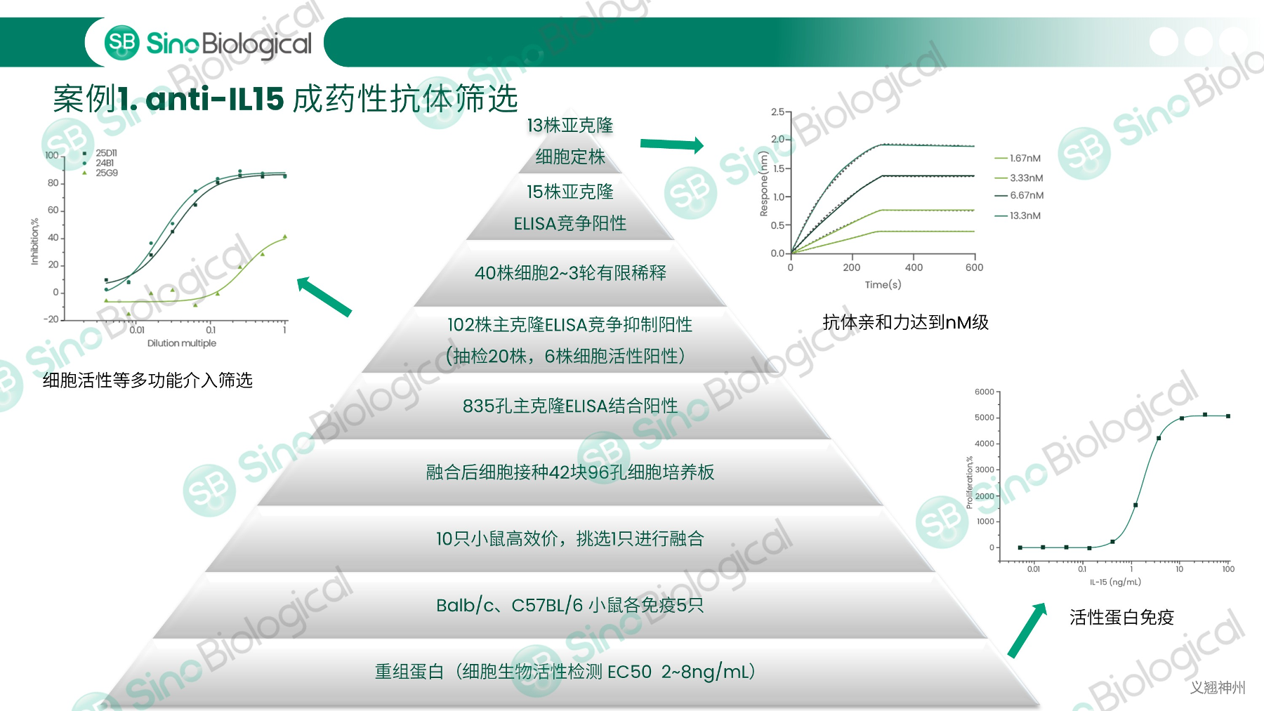 ppt