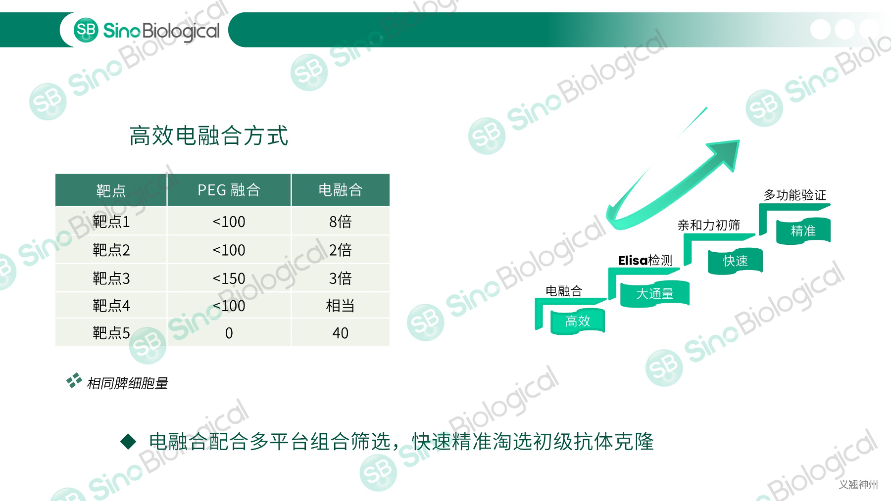 ppt