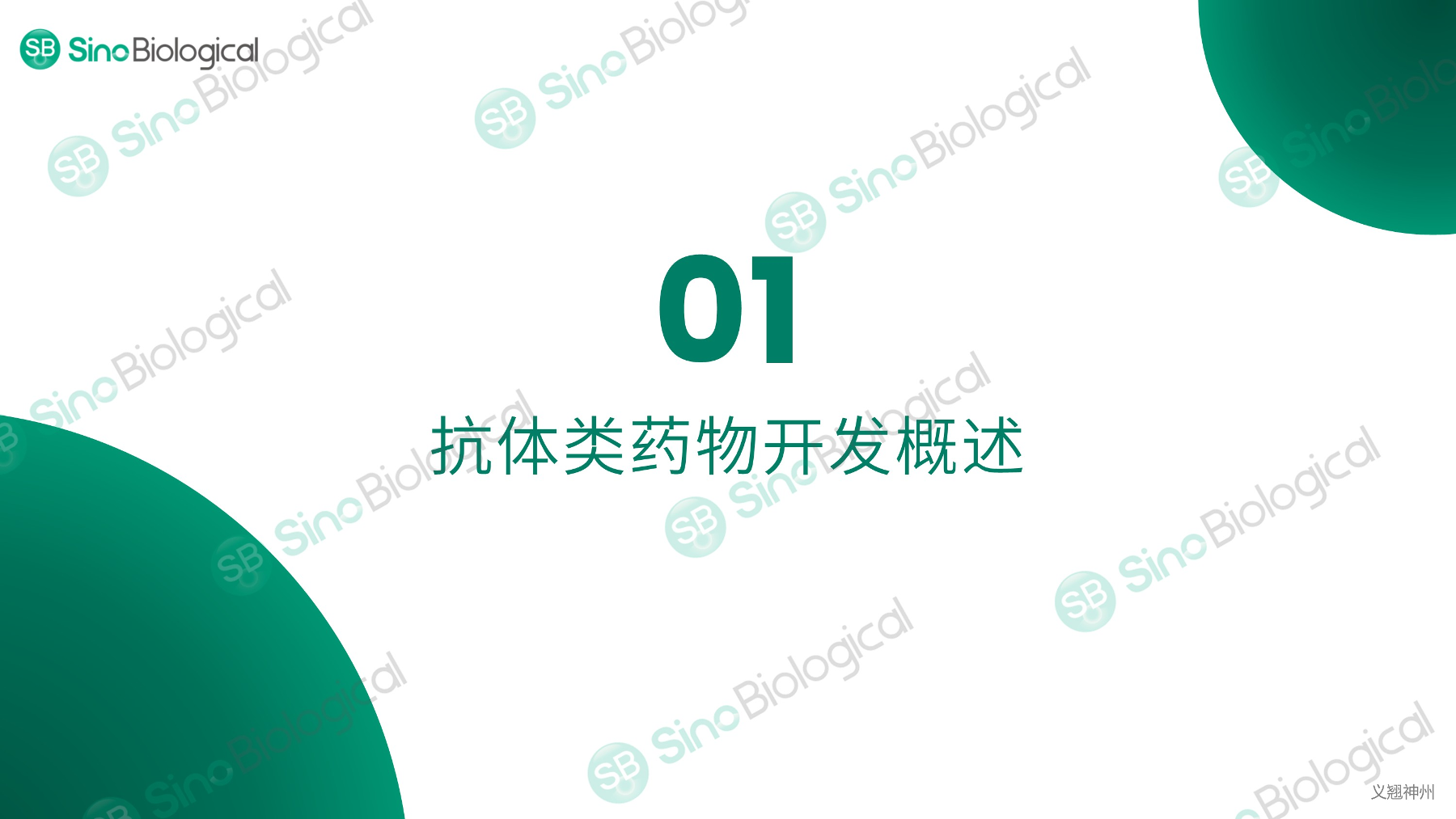 ppt