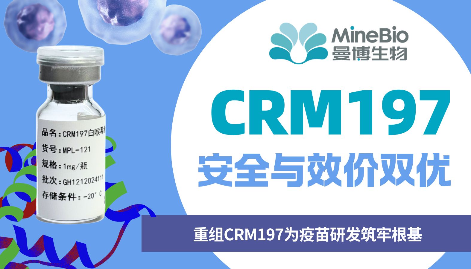 安全与效价双优：重组CRM197为疫苗研发筑牢根基