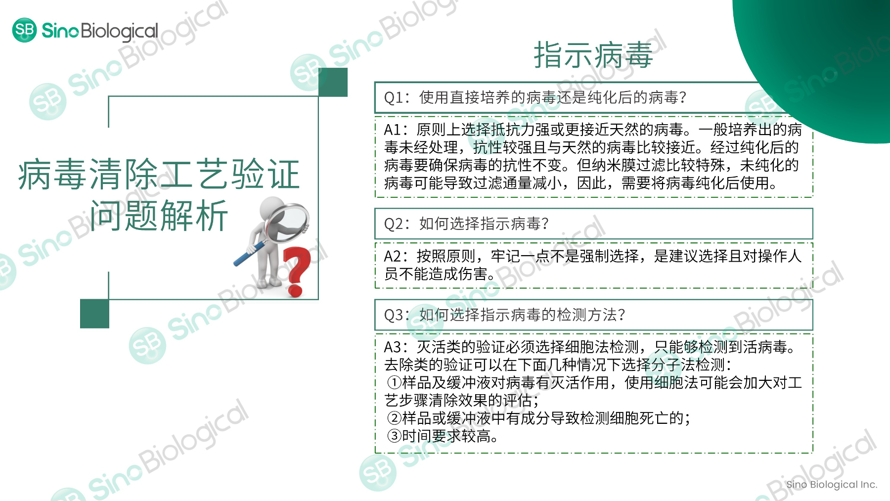 ppt