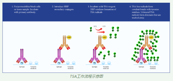 新闻图片2