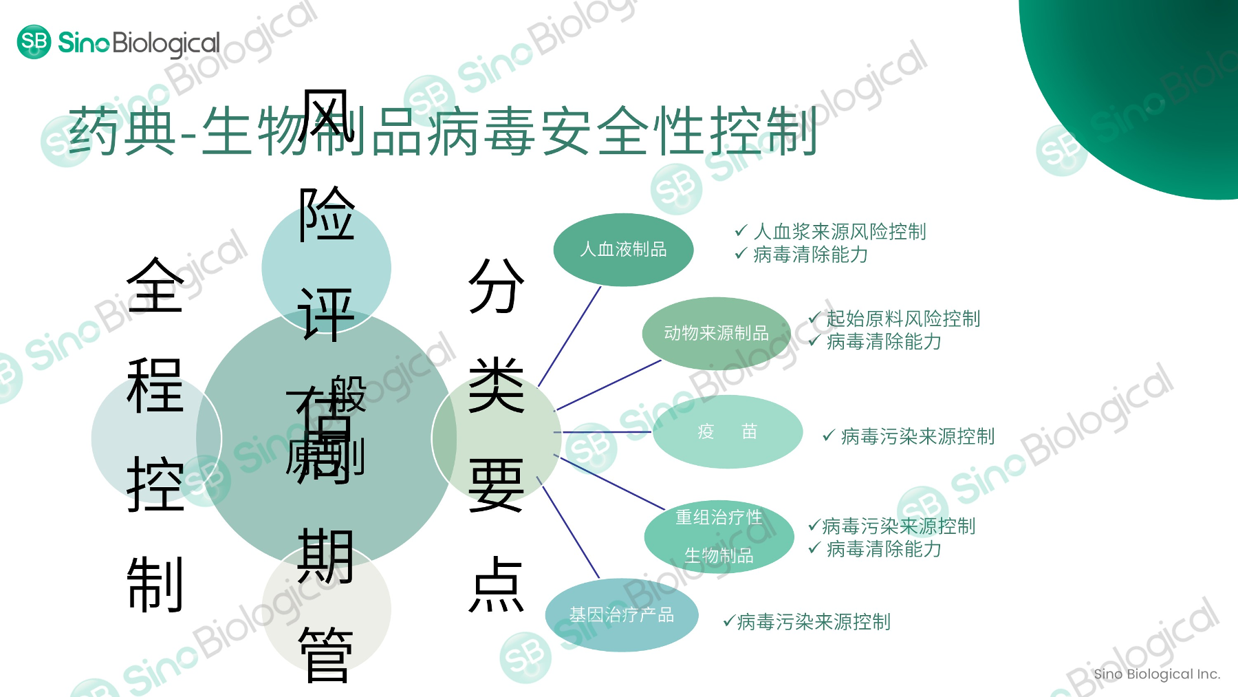 ppt