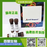 β-淀粉样蛋白(1–40)炔烃