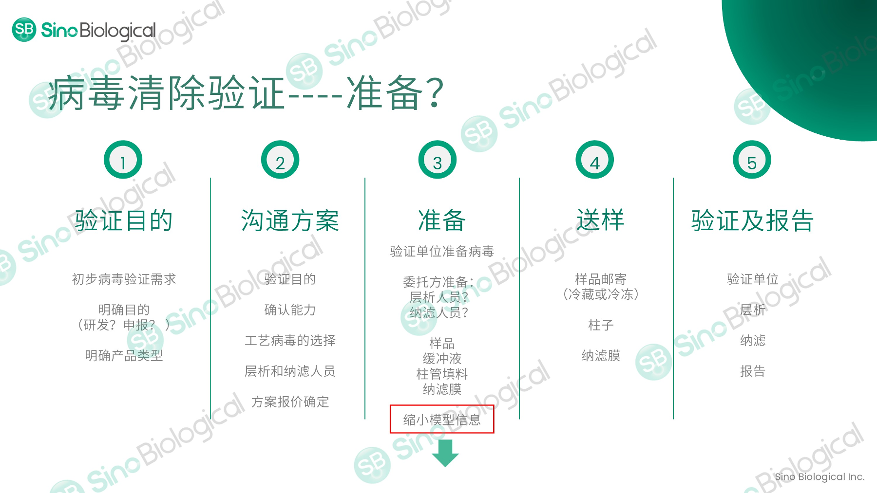 ppt