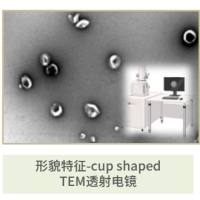 外泌体电镜表征-TEM透射电镜