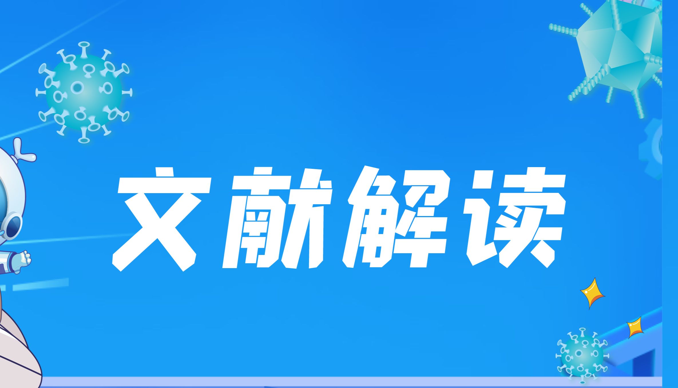 Oncogene｜Ribo-seq揭示OCCC翻译重编程特征，发现RBM4作为潜在治疗靶点促进肿瘤进展