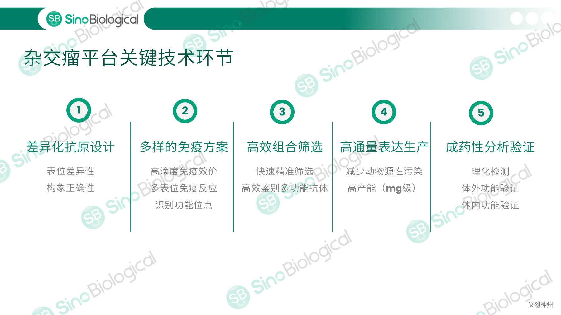 ppt