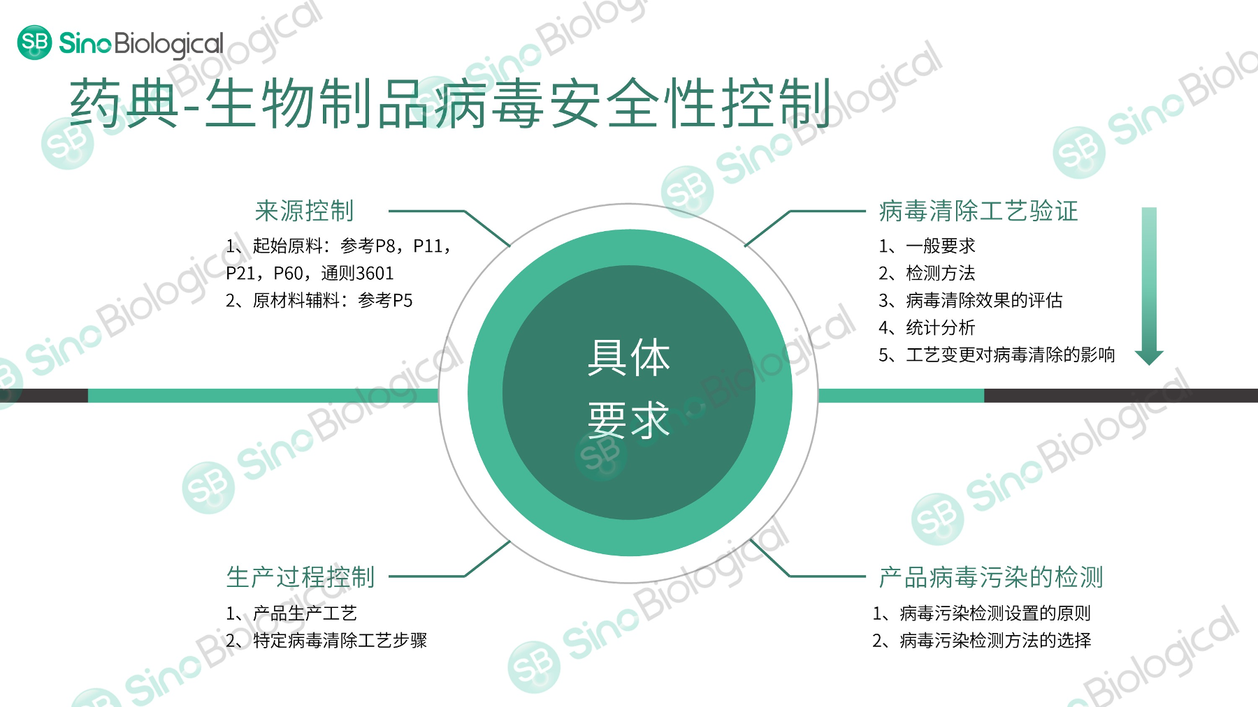 ppt