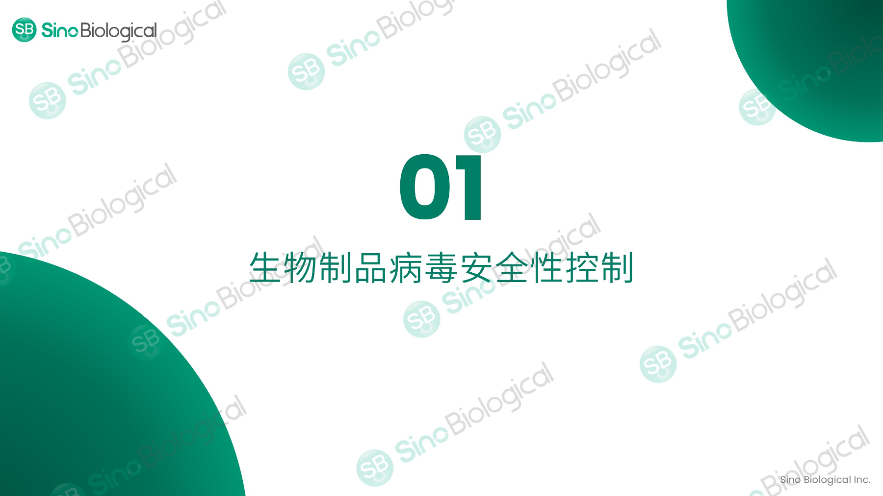 ppt