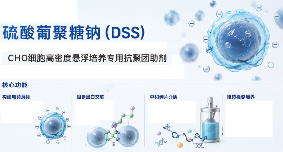 新闻图片1