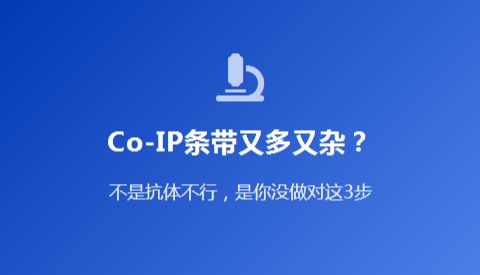 Co-IP条带又多又杂？不是抗体不行，是你没做对这3步