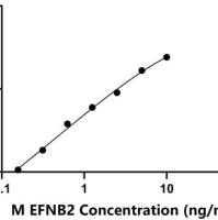 小鼠肝配蛋白B2(EFNB2)ELISA试剂盒