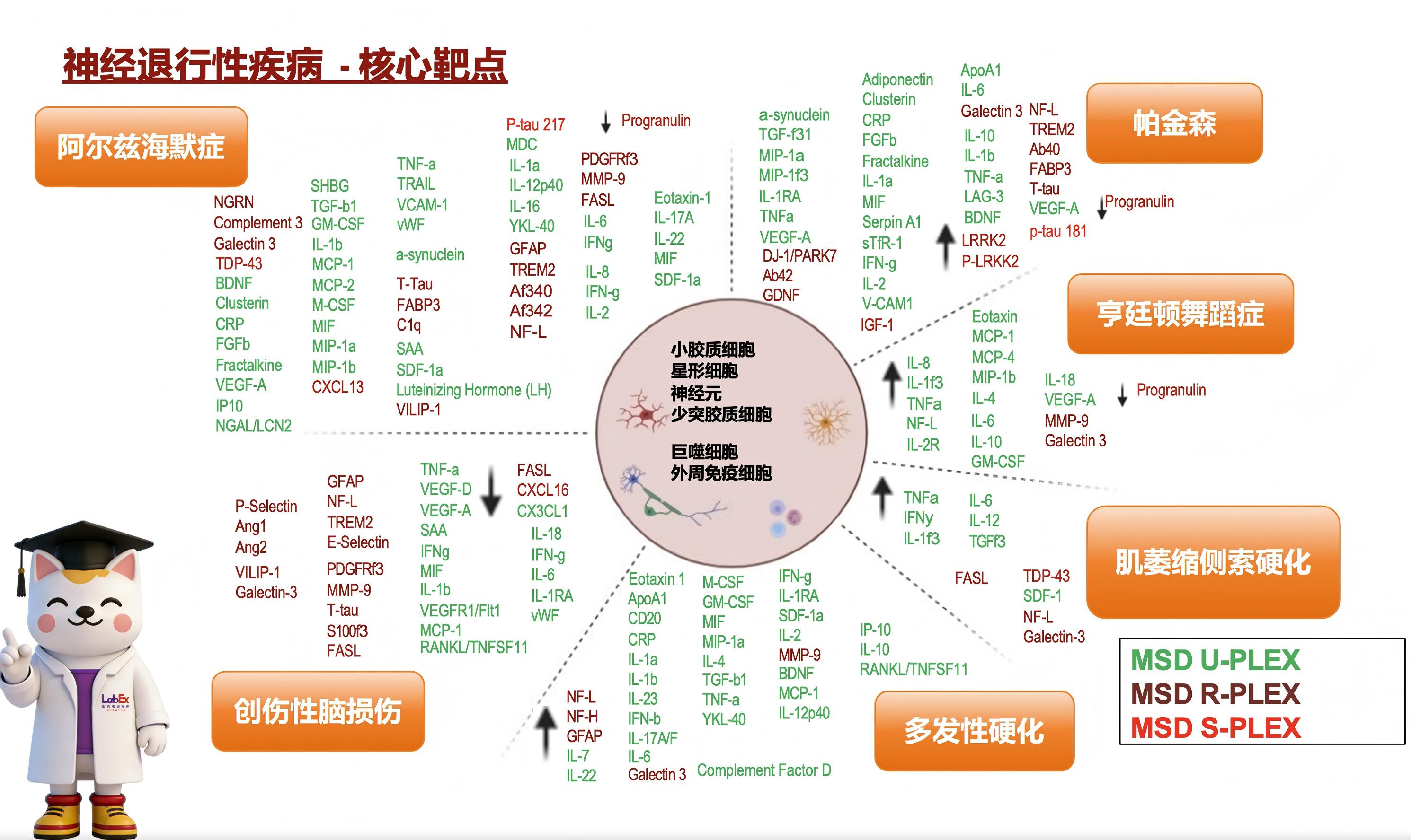 神经退行性疾病生物标志物研发与多因子检测技术应用