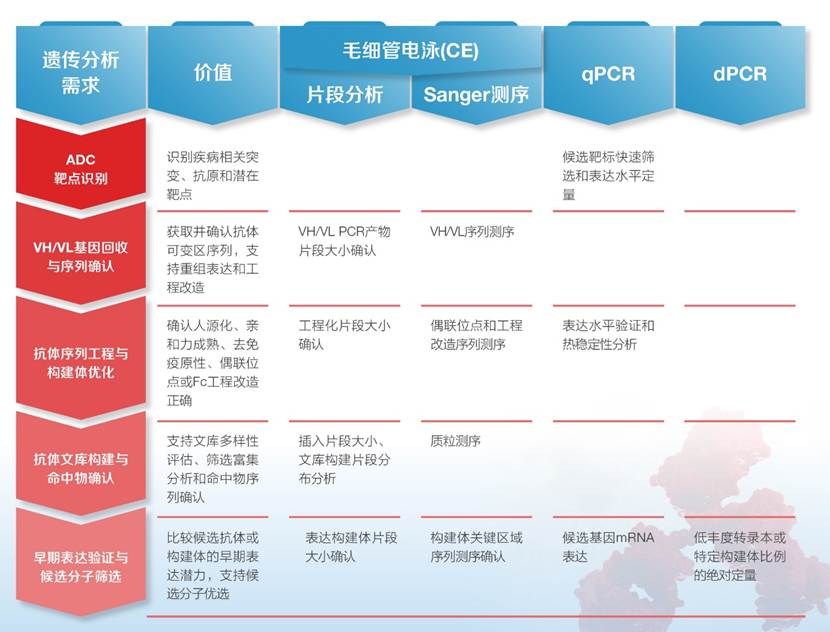 精准基因分析技术赋能更智能的mAb和ADC开发