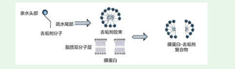 新闻图片2