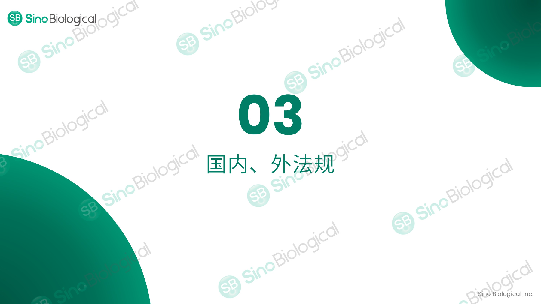 ppt