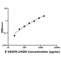 大鼠血管内皮细胞生长因子受体2(VEGFR-2/KDR)ELISA试剂盒