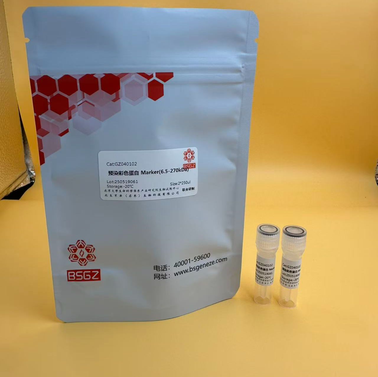 预染彩色蛋白Marker (6.5-270kDa)